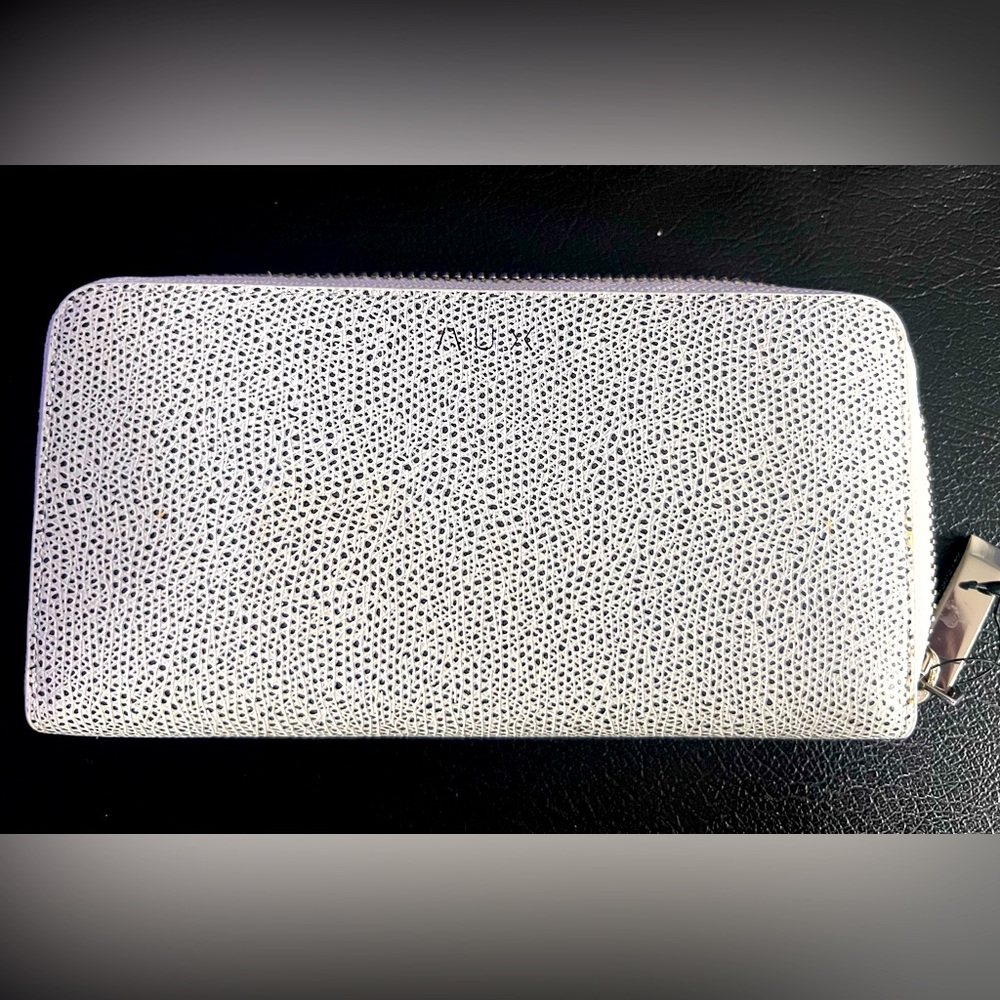 Aritzia auxiliary hulst zip wallet in white.